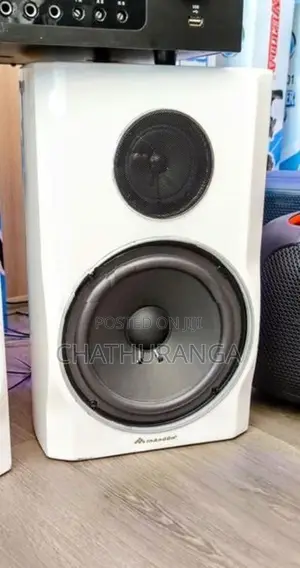 Karoake Professional Speaker system