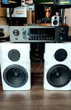 Karoake Professional Speaker system