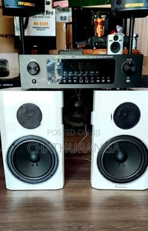 Karoake Professional Speaker system