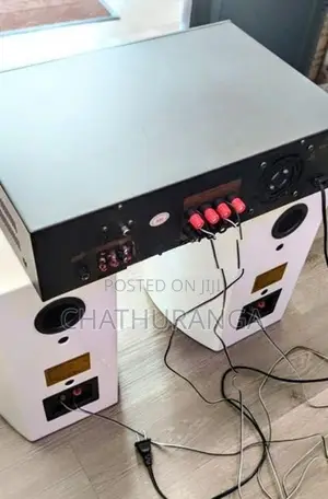 Karoake Professional Speaker system