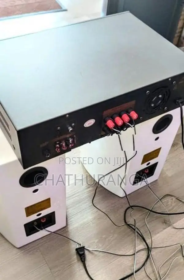 Karoake Professional Speaker system