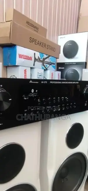 Karoake Professional Speaker system