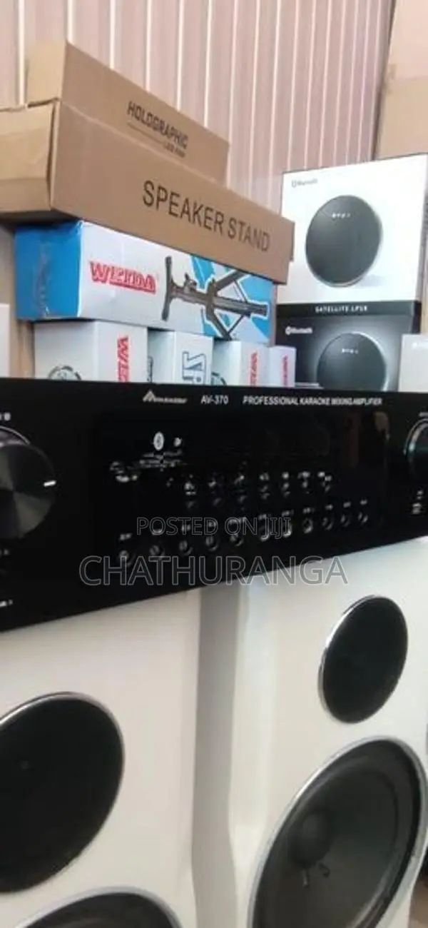 Karoake Professional Speaker system