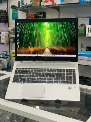 HP Probook 450 G7 (Used)