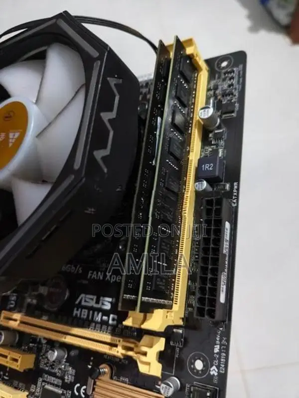 ASUS H81M-C Motherboard
