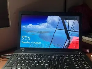 Satellite Laptop