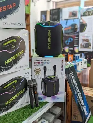 Hopestar Partybox 600 Outdoor Karaoke Speakers with Dual Mic (300W)