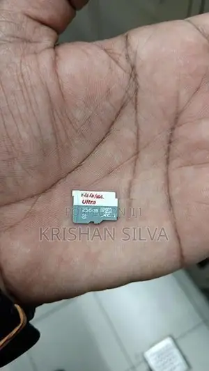 256GB MicroSDXC (Class 10 / UHS-I)
