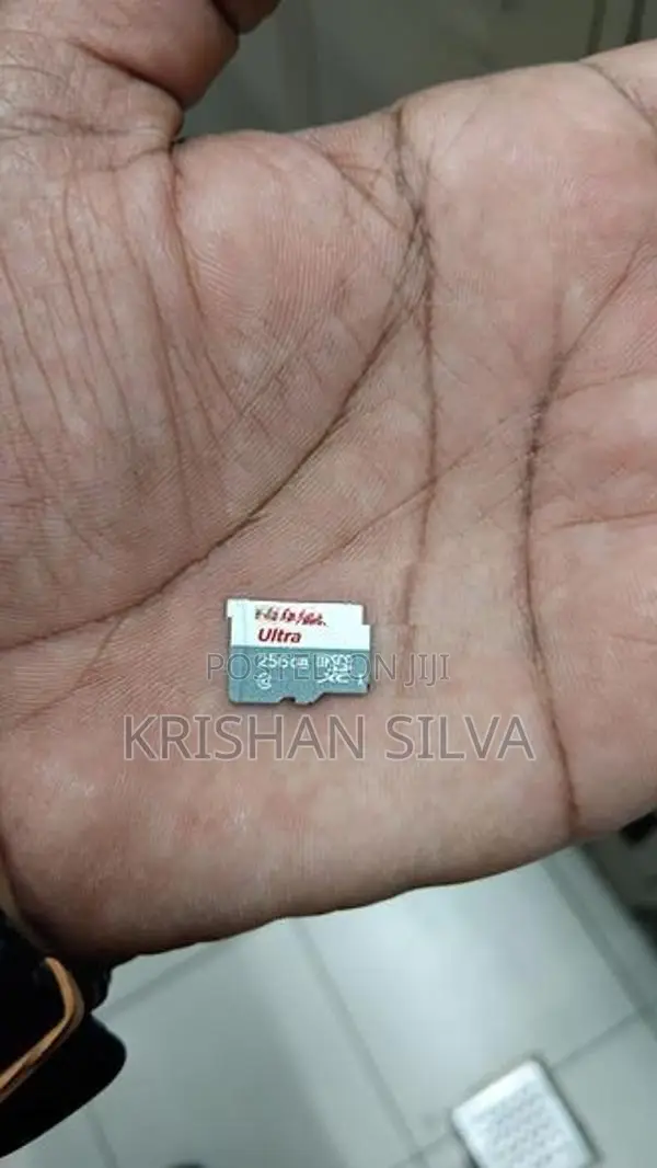 256GB MicroSDXC (Class 10 / UHS-I)