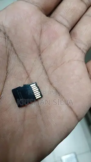 256GB MicroSDXC (Class 10 / UHS-I)