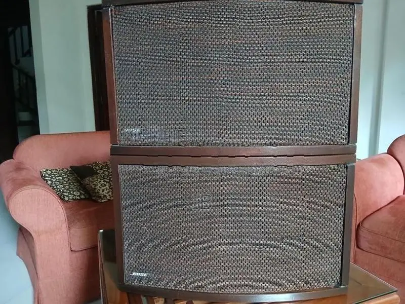 Bose 901 series 111