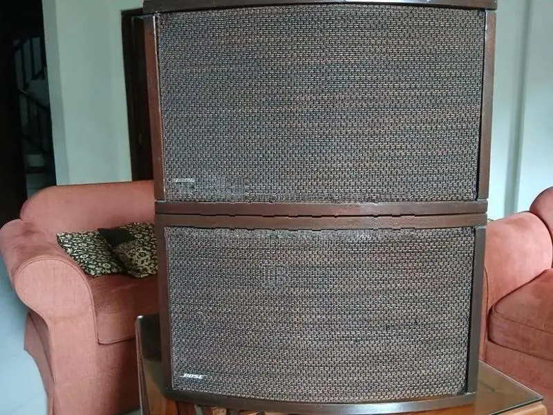 Bose 901 series 111