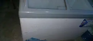 Singer Freezer