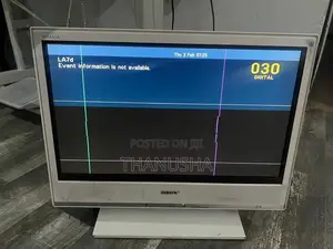 Sony Bravia Monitor