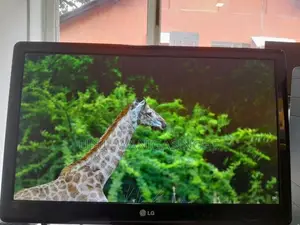 LG 22" LED Monitor