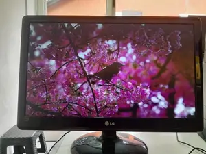 LG 22" LED Monitor