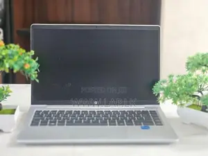 HP ProBook 440 G8 Core i5 1165G7–11th Gen 8GB RAM 256GB NVMe SSD