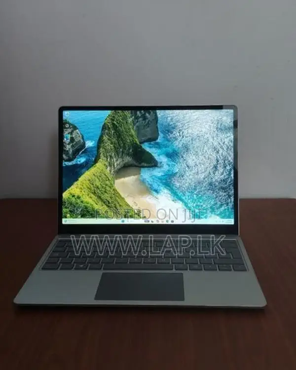 Microsoft Surface Go 1943 Core i5 1035G1 10th Gen 16GB Ram 256GB SSD