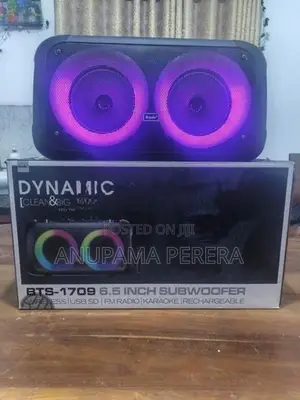 BTS-1709 6.5 inch subwoofer