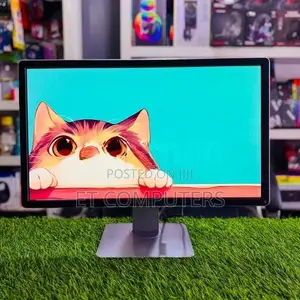 Dell 24" IPS Monitor