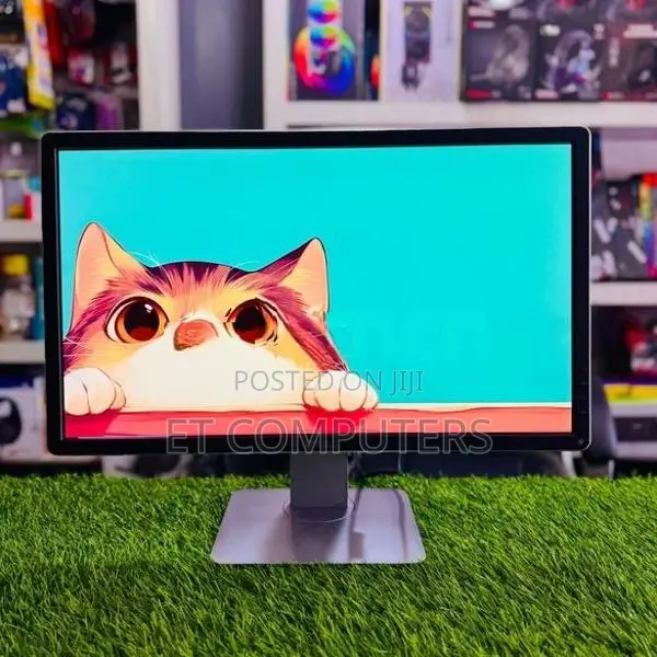 Dell 24" IPS Monitor