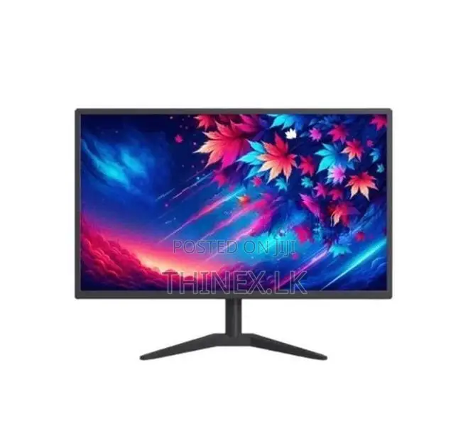 Micro - DS19 LED Monitor