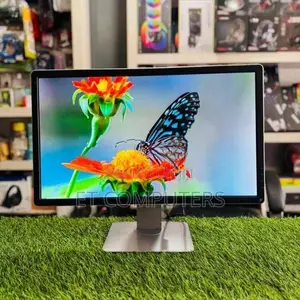 Dell 24" IPS Monitor