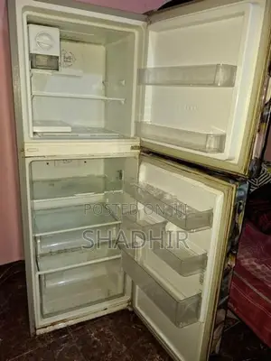 Singer "Full No Frost" 230L Double-Door Refrigerator