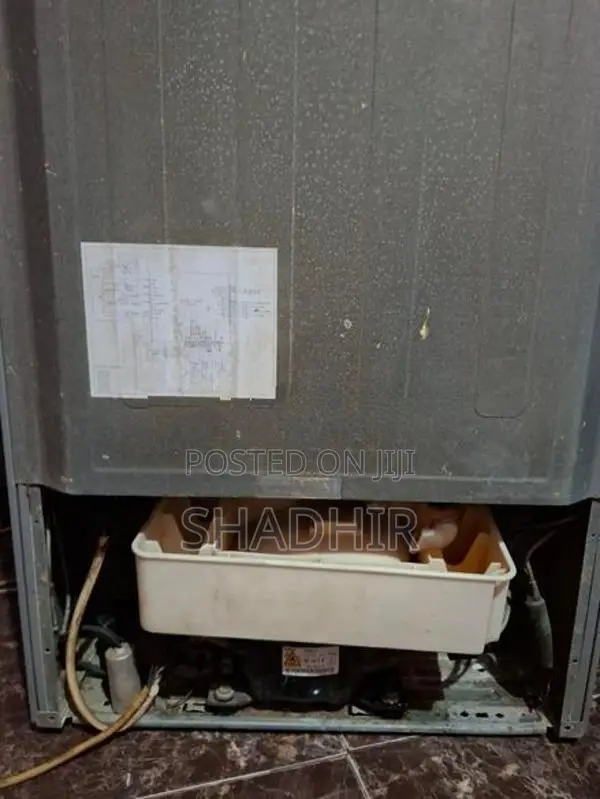 Singer "Full No Frost" 230L Double-Door Refrigerator