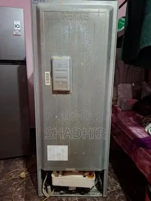 Singer "Full No Frost" 230L Double-Door Refrigerator