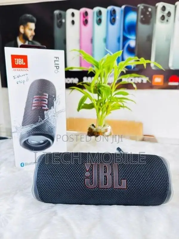 JBL Flip 6