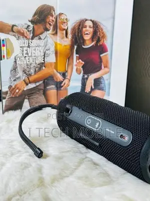 JBL Flip 6