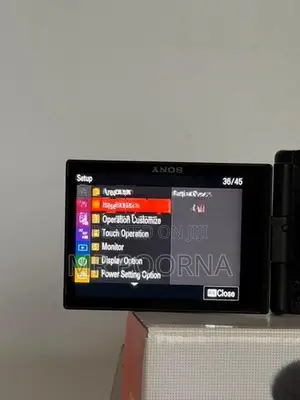 SONY ZV 1F