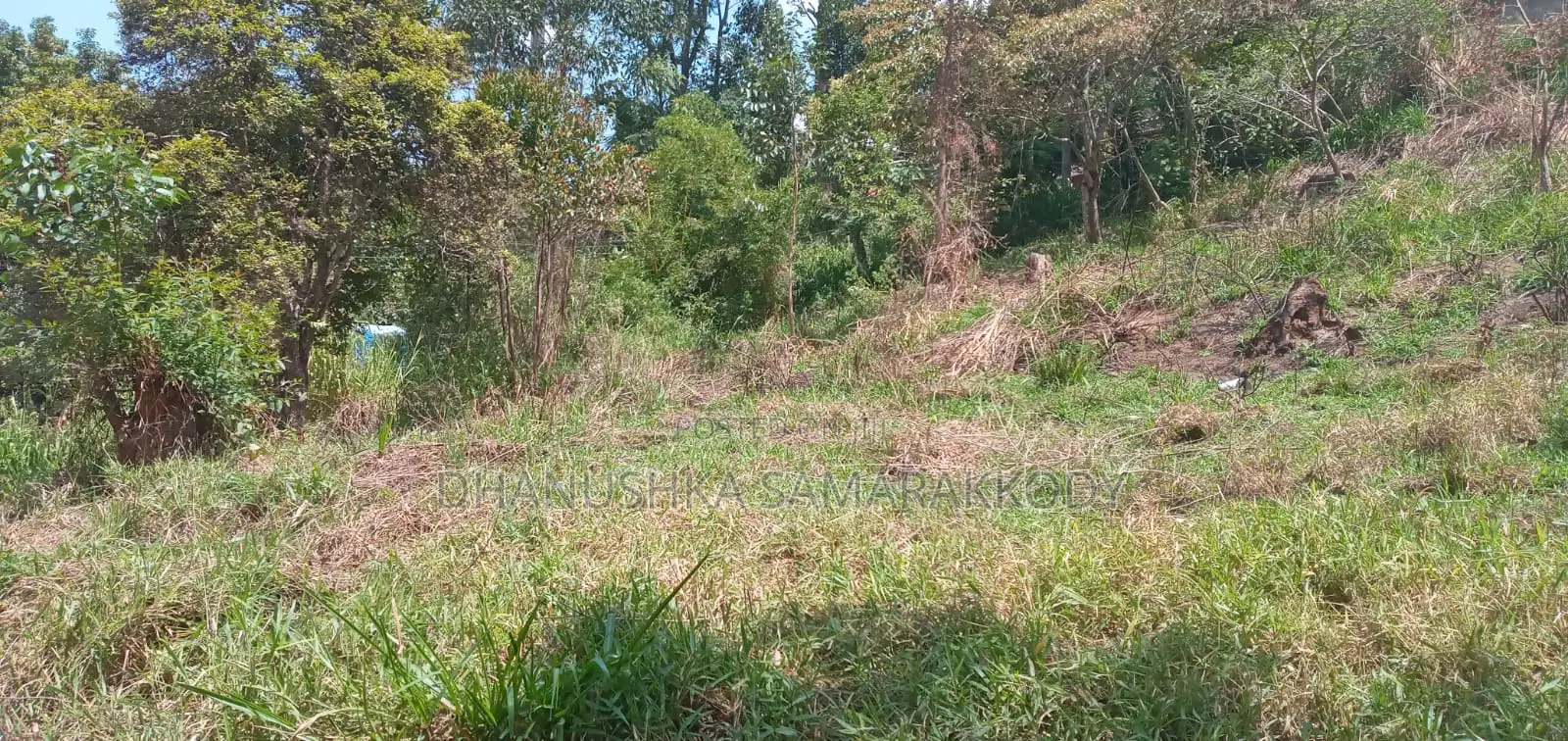 Prime Land for Sale in Bandarawela – Ideal for Investment Tourism