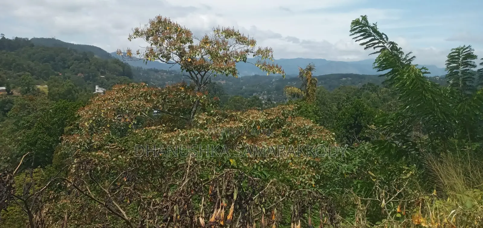 Prime Land for Sale in Bandarawela – Ideal for Investment Tourism