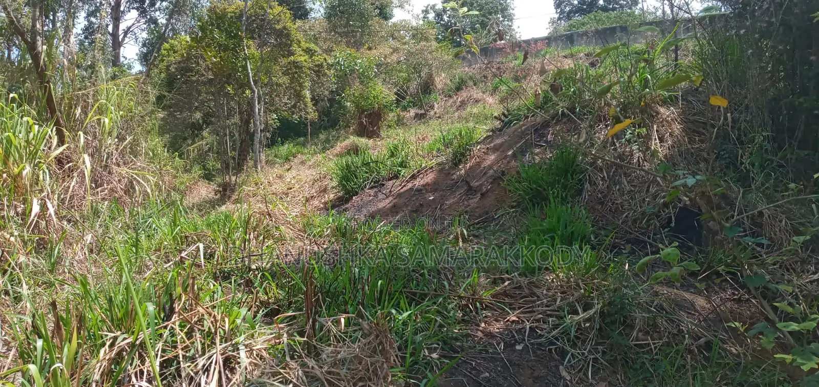 Prime Land for Sale in Bandarawela – Ideal for Investment Tourism