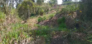 Prime Land for Sale in Bandarawela – Ideal for Investment Tourism