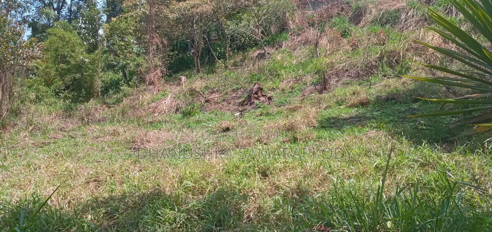 Prime Land for Sale in Bandarawela – Ideal for Investment Tourism