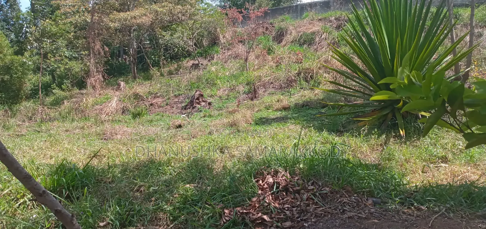 Prime Land for Sale in Bandarawela – Ideal for Investment Tourism