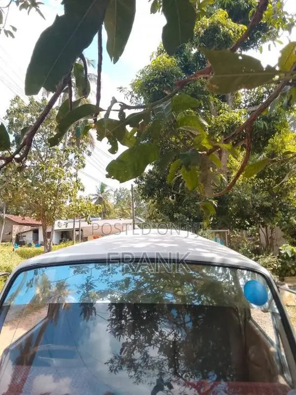 Nissan Vrge 1981 Van (Used)