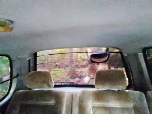 Nissan Serena 1998 Van (Used)