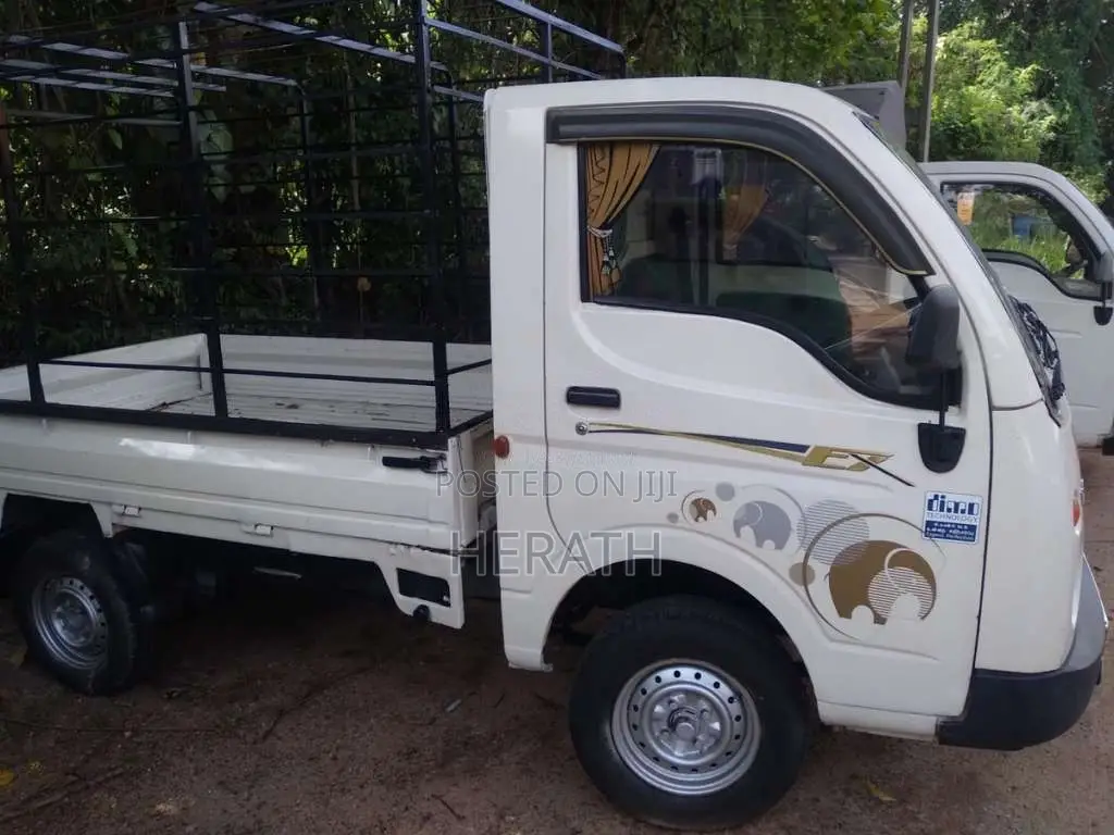 Tata Dimo Batta ACE 2012 Lorry (Used)