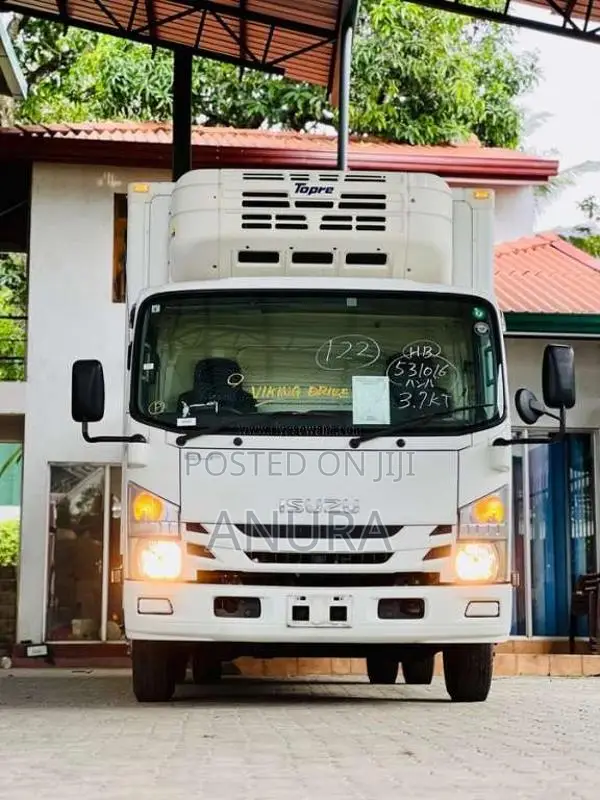 Isuzu ELF Frezzer Truck 15.5 2019 Lorry (Used)
