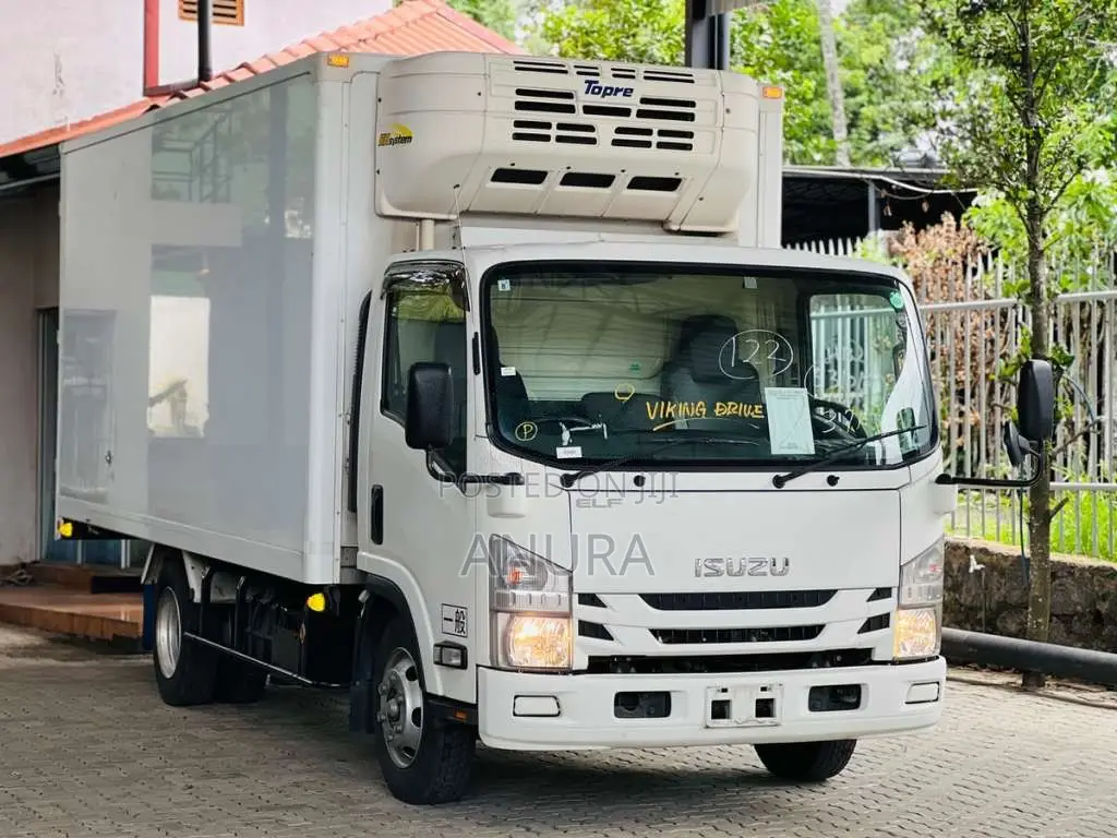 Isuzu ELF Frezzer Truck 15.5 2019 Lorry (Used)