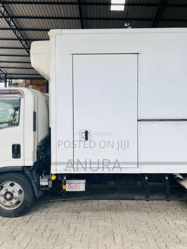 Isuzu ELF Frezzer Truck 15.5 2019 Lorry (Used)