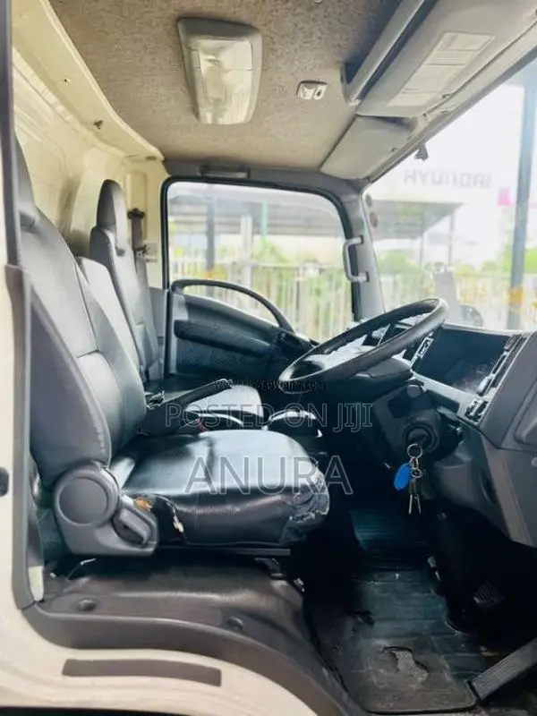 Isuzu ELF Frezzer Truck 15.5 2019 Lorry (Used)
