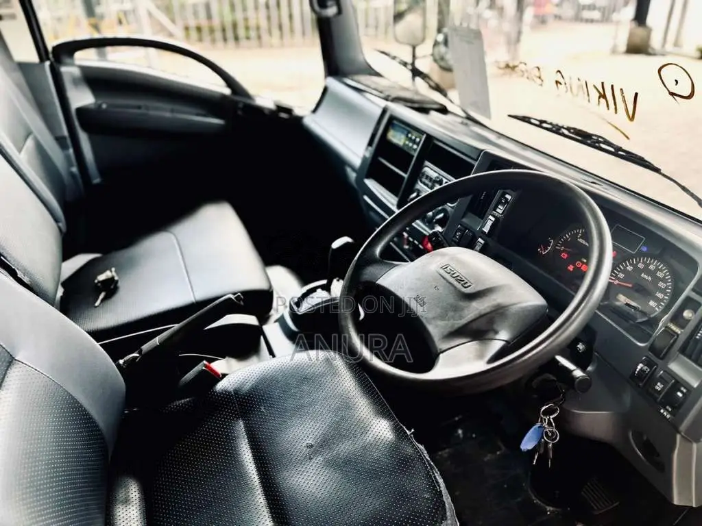 Isuzu ELF Frezzer Truck 15.5 2019 Lorry (Used)