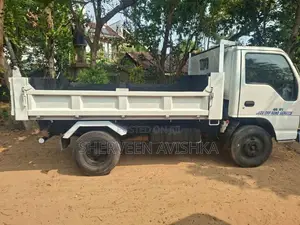 Isuzu ELF 1996 Lorry (Used)