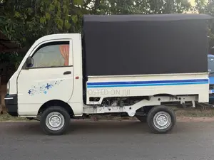 Mahindra Maxximo 2013 Lorry (Used)