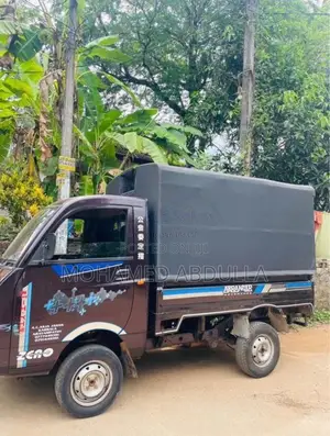Mahindra Maxximo Plus 2016 Lorry (Used)